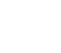 BFT - logo light